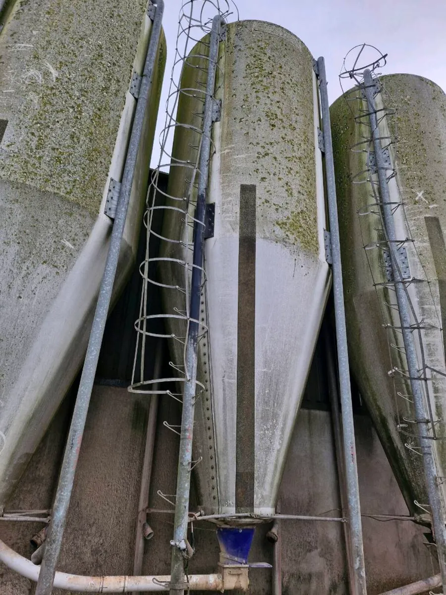 Feed silos - Image 3