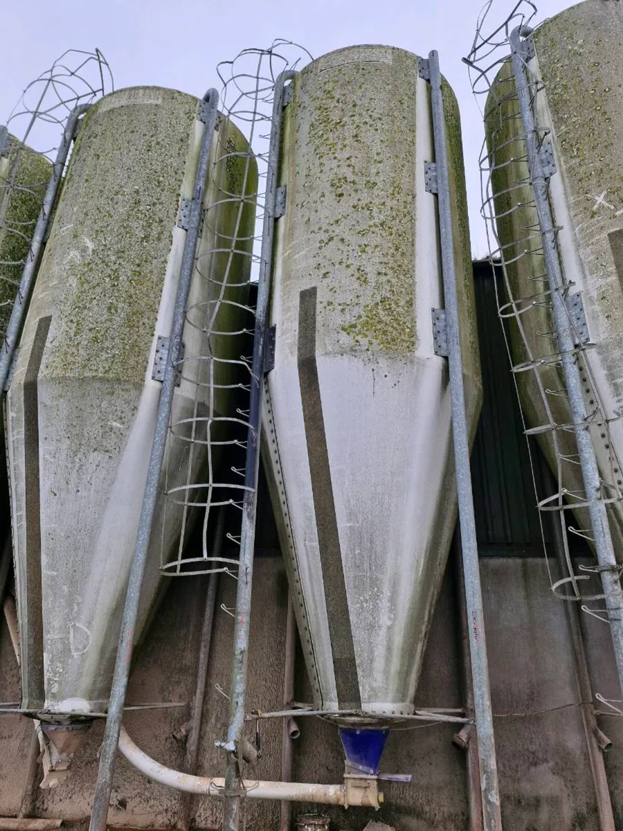 Feed silos - Image 1
