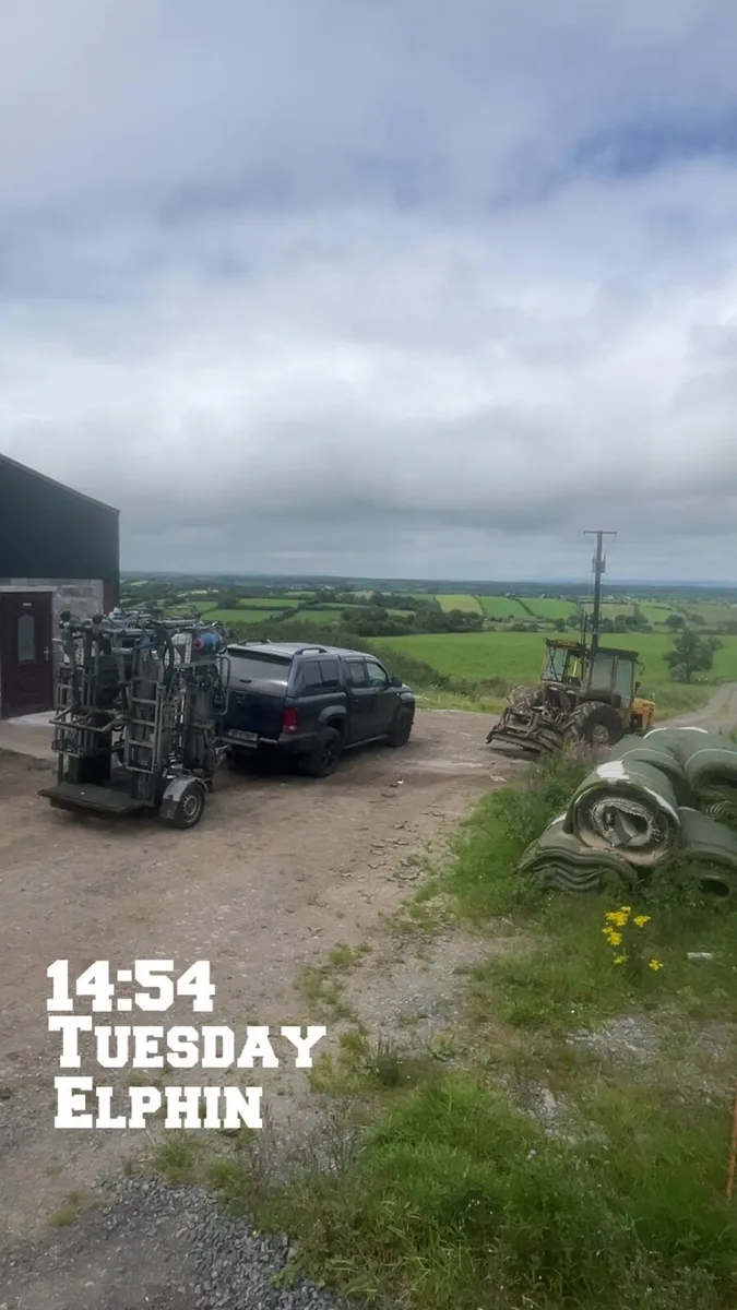 Hoof trimming and freeze branding available - Image 2