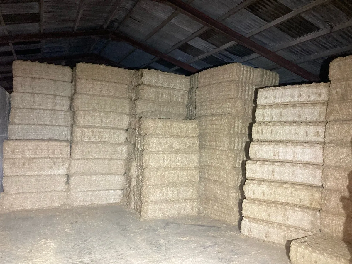 Spanish straw - Image 1