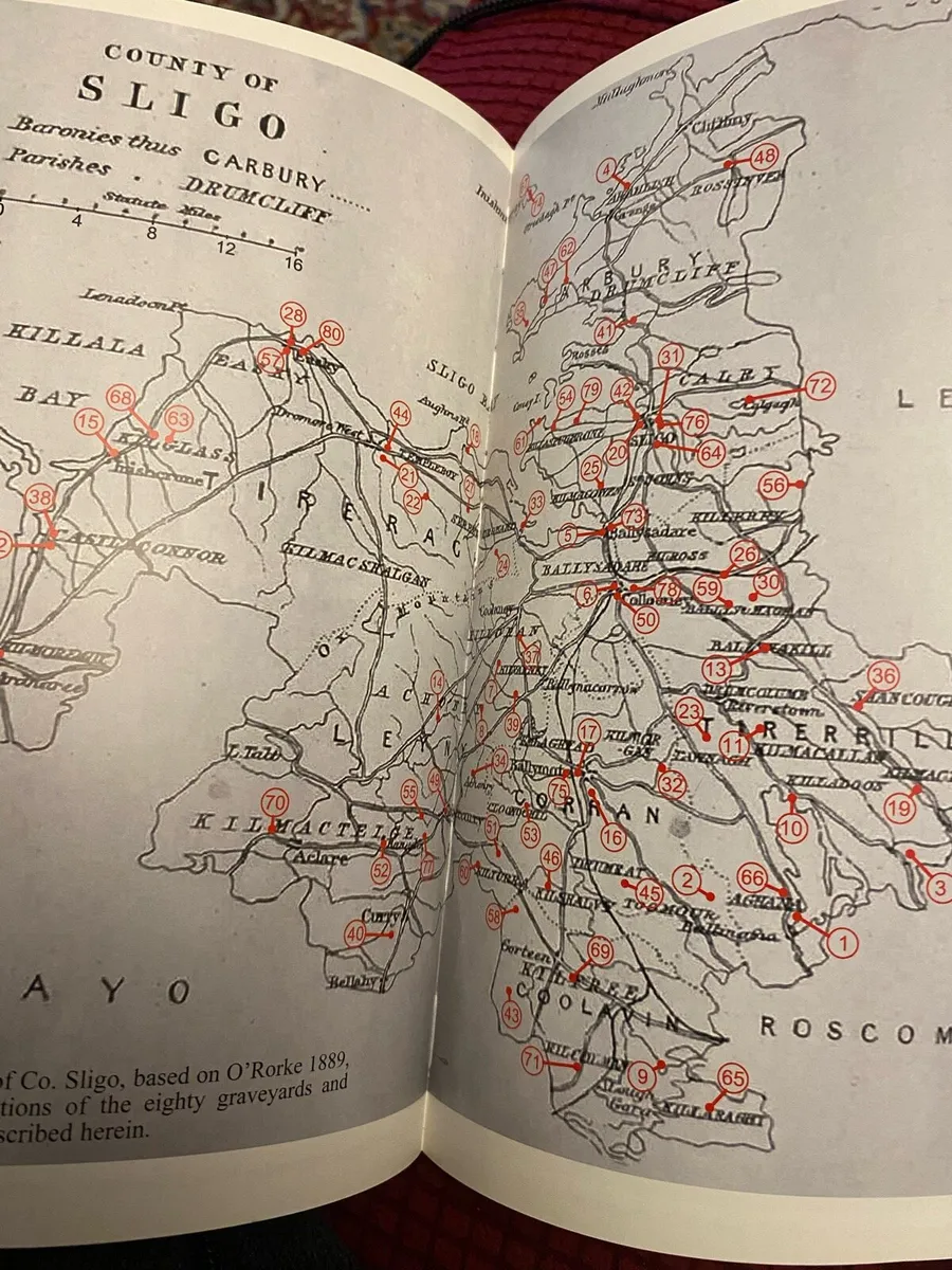 Had Me Made-Study of Grave Memorials in Sligo - Image 4