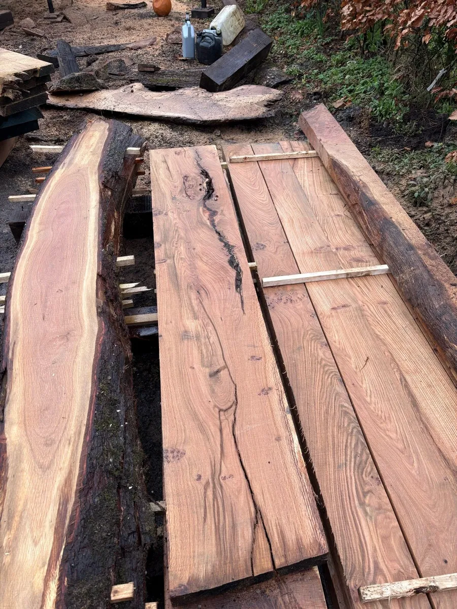 Timber slabs - Image 1