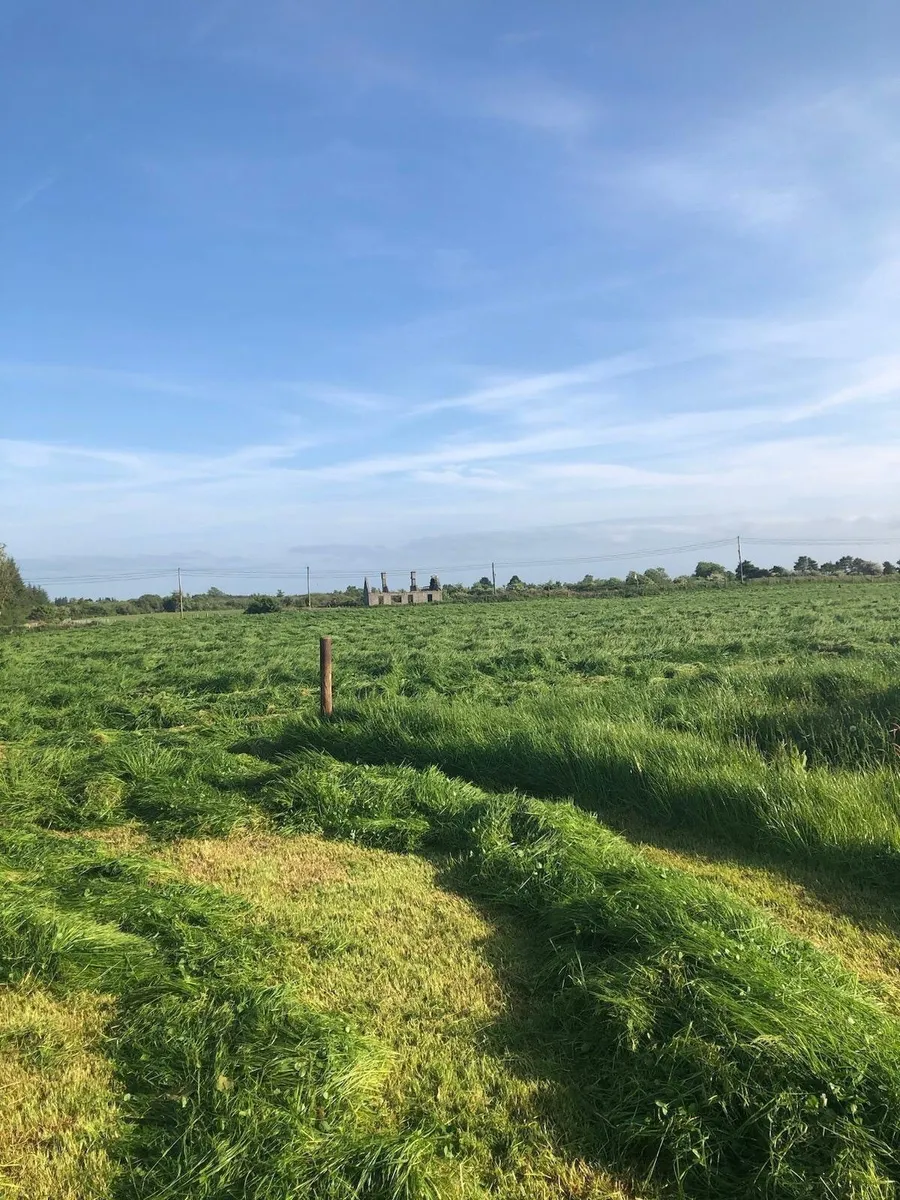 Bales of Silage - Image 1