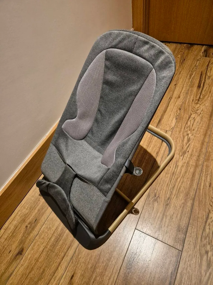 Baby Elegance Bouncer