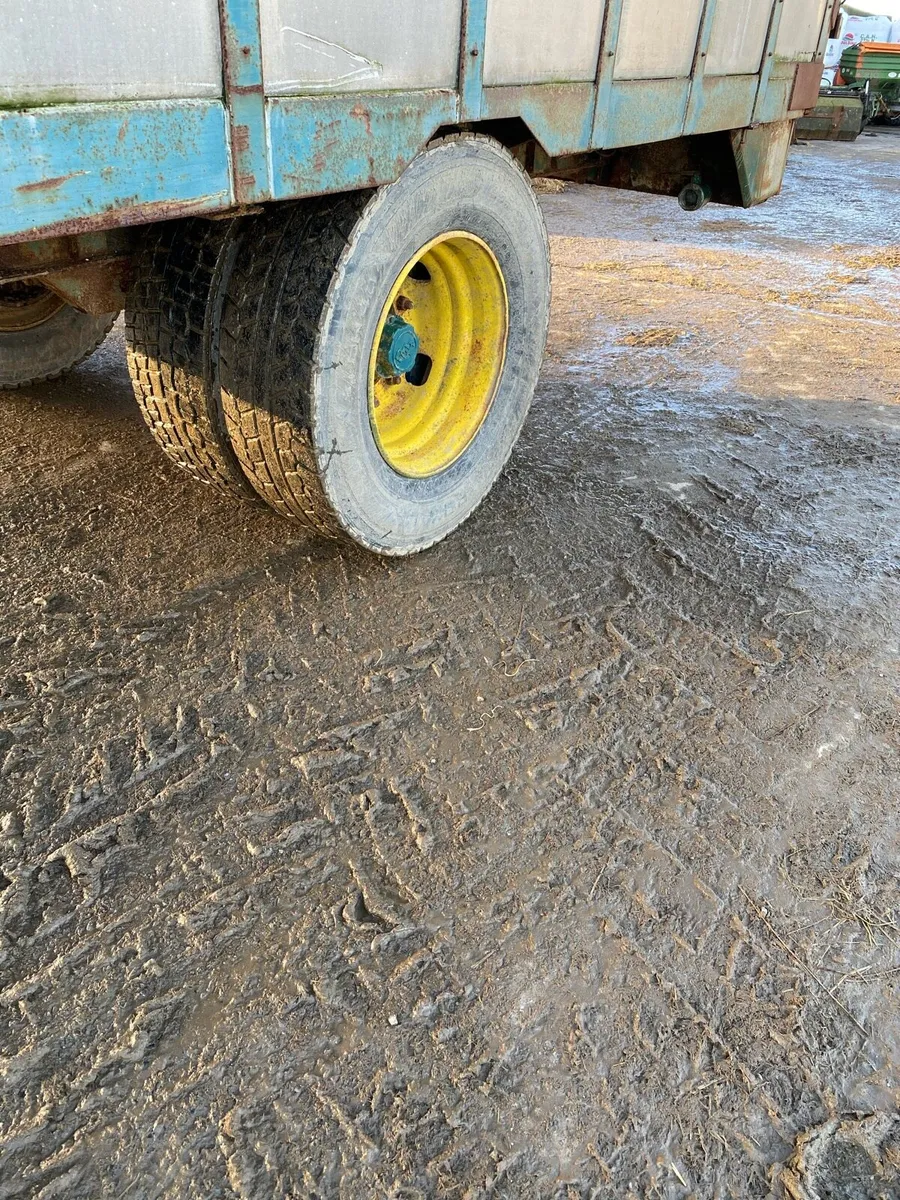 Cattle Trailer - Image 4