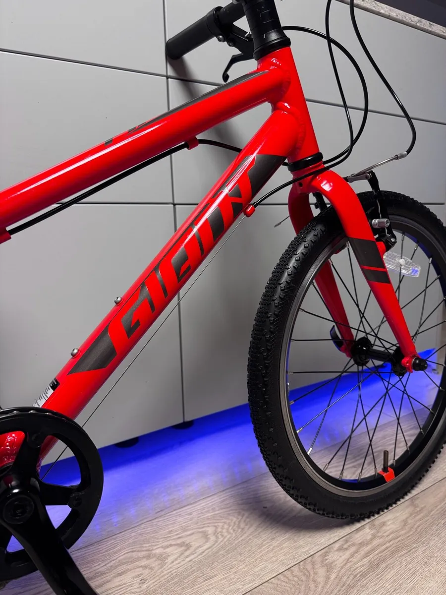 Giant ARX Kids Bike 20 inch - Image 3