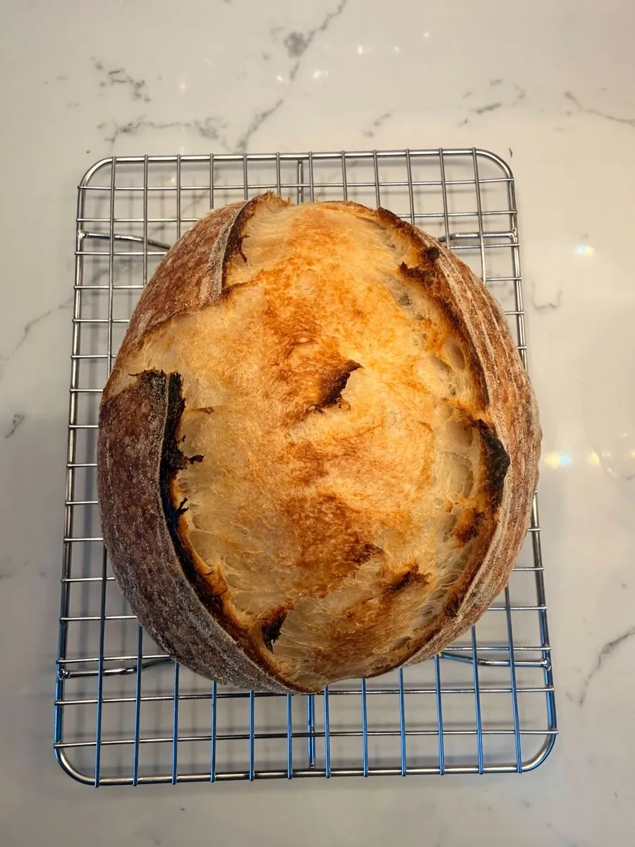 Fresh Sourdough Starter - Image 4