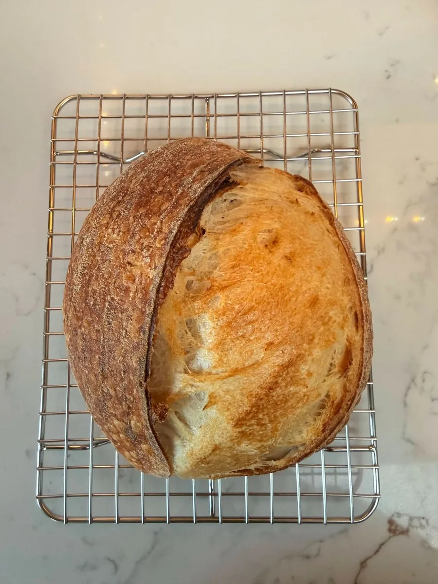 Fresh Sourdough Starter - Image 3