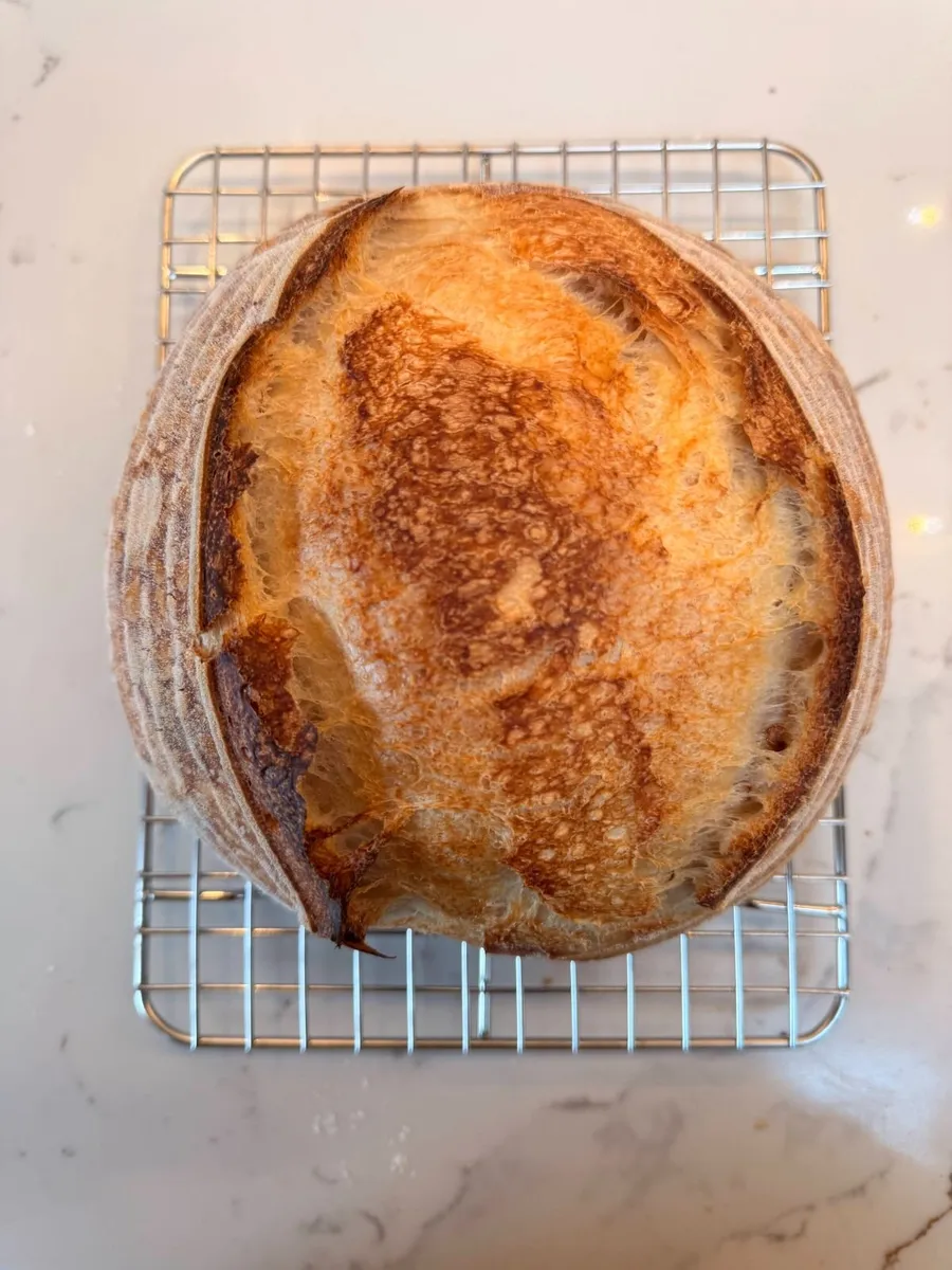 Fresh Sourdough Starter - Image 1