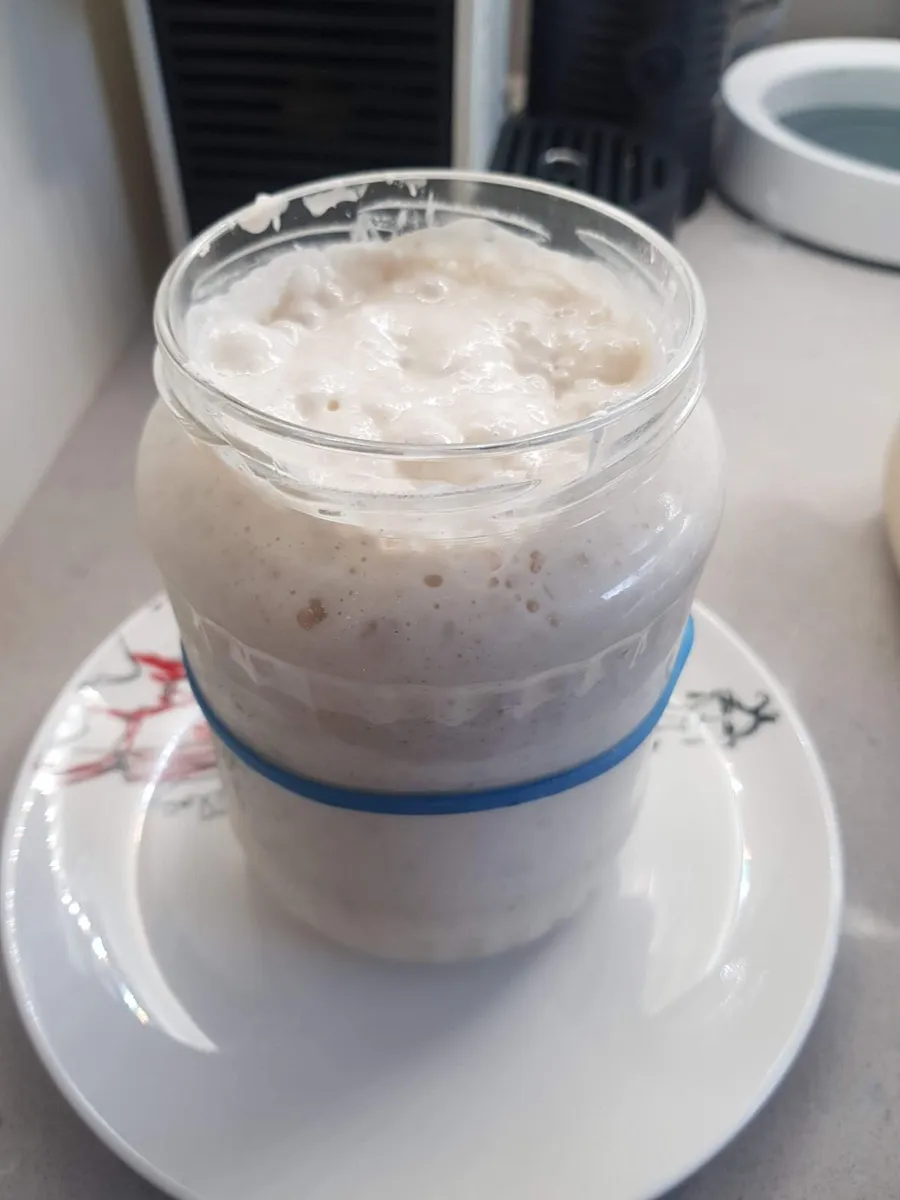 Fresh Sourdough Starter - Image 2