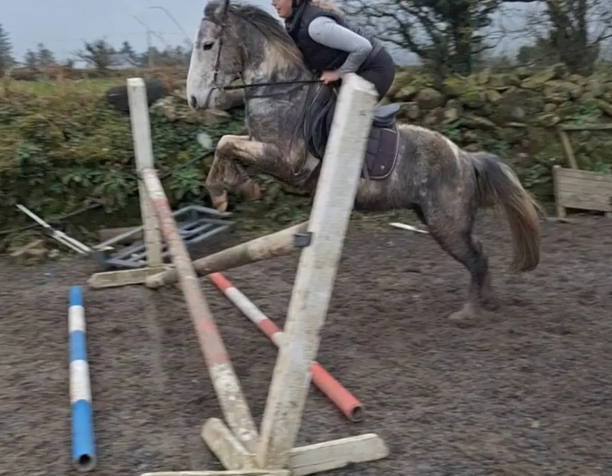 3 for sale see below - Image 1