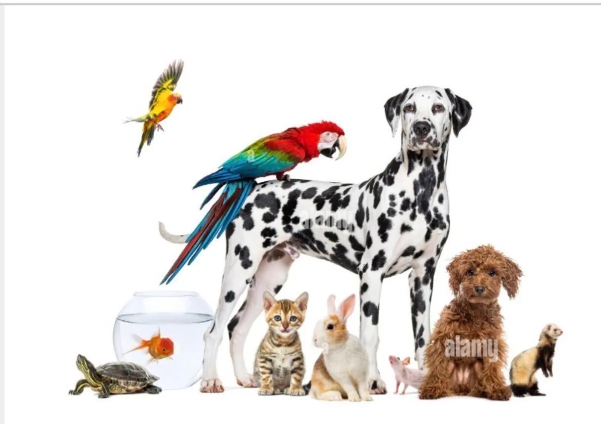 Unwanted Exotic animals