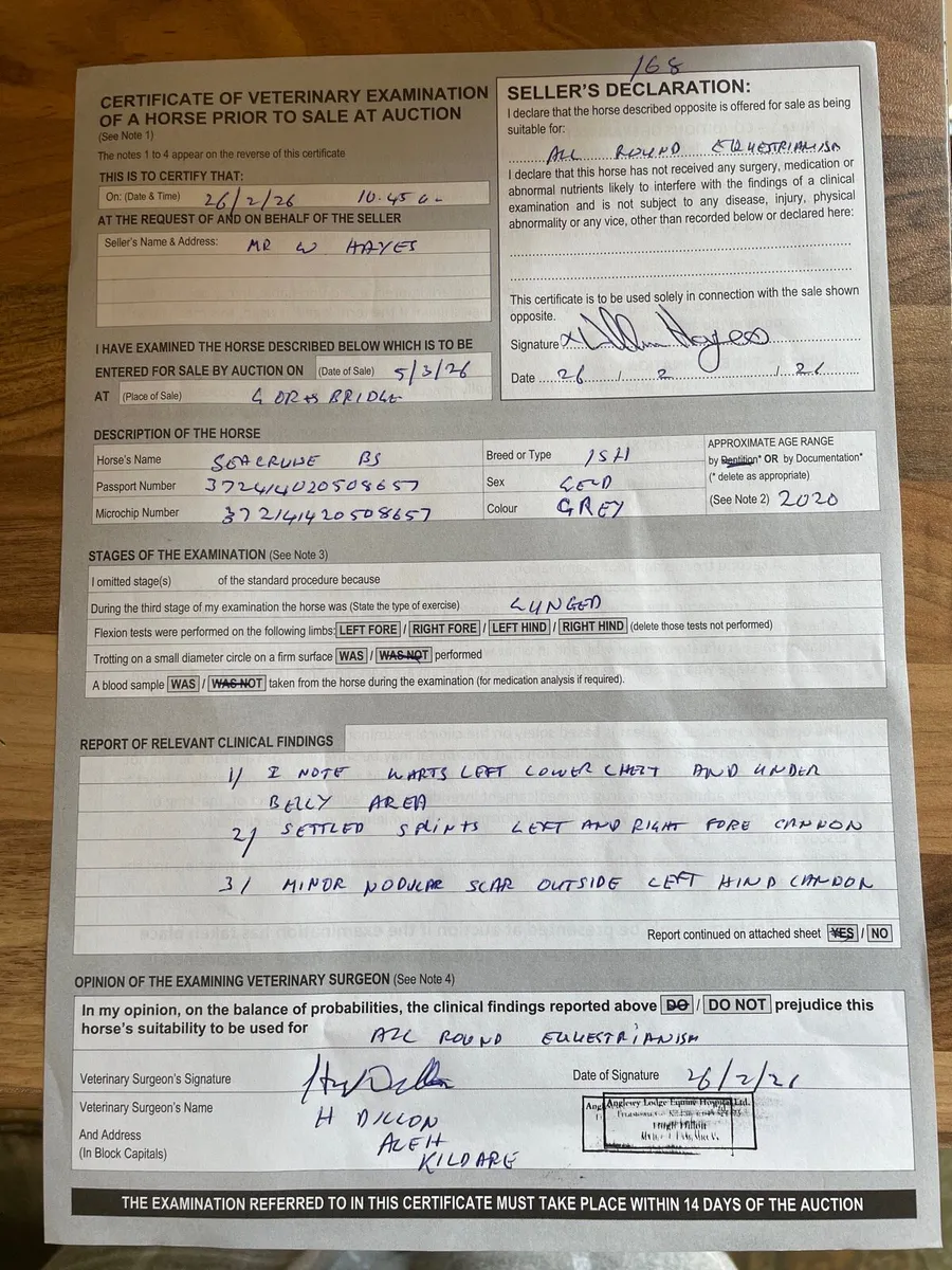 Seacruise BS - Image 2