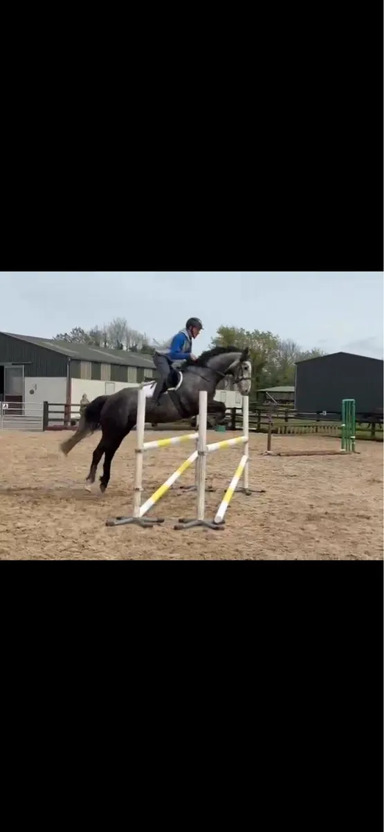 Seacruise BS - Image 4