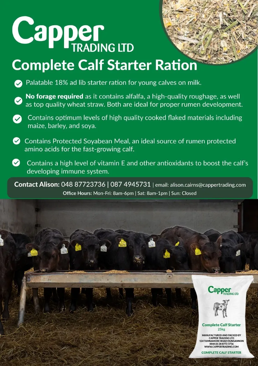Complete Calf Rations/ Feed / Diet / Meal - Image 3