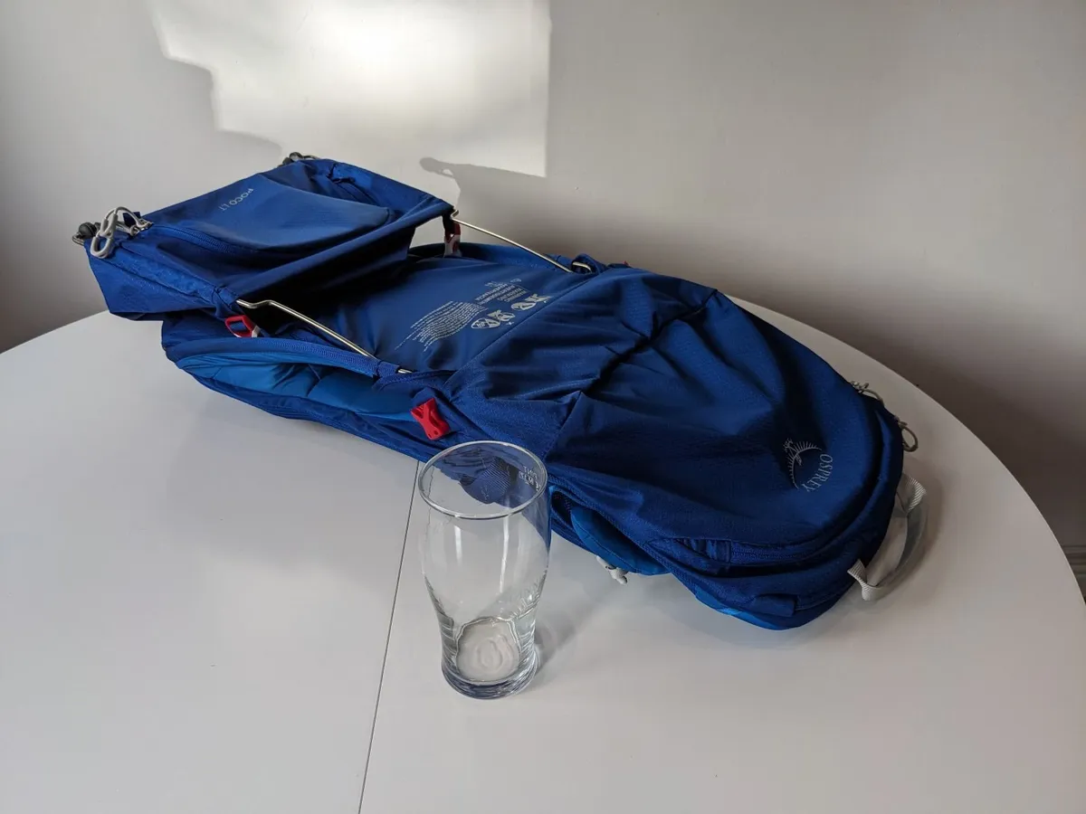 Pristine Osprey Poco LT Child Carrier + Raincover - Image 3