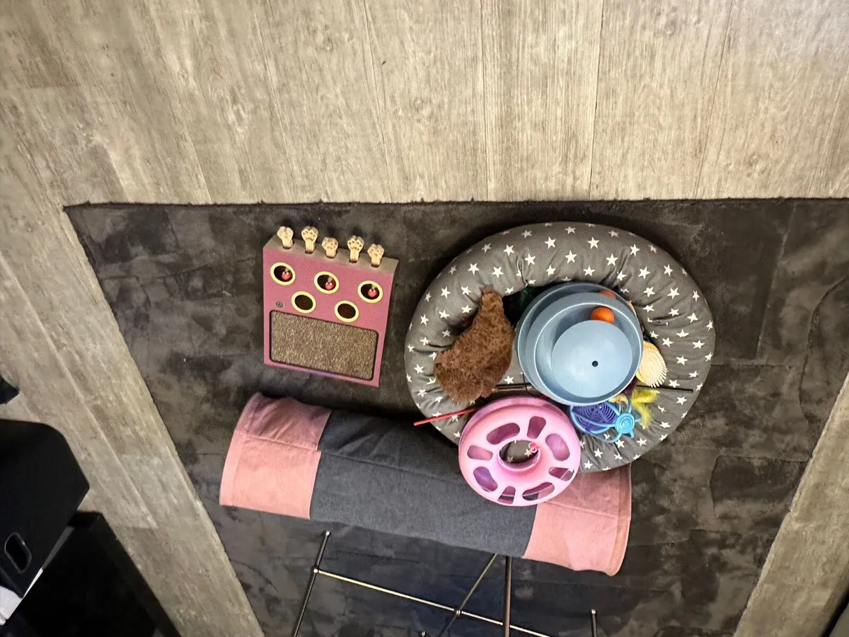 Cat beds litter trays ect - Image 4