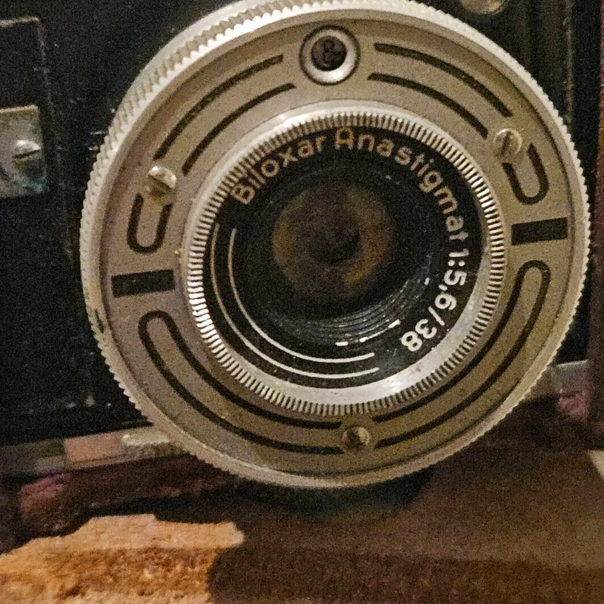 Bilora radix camera - Image 4