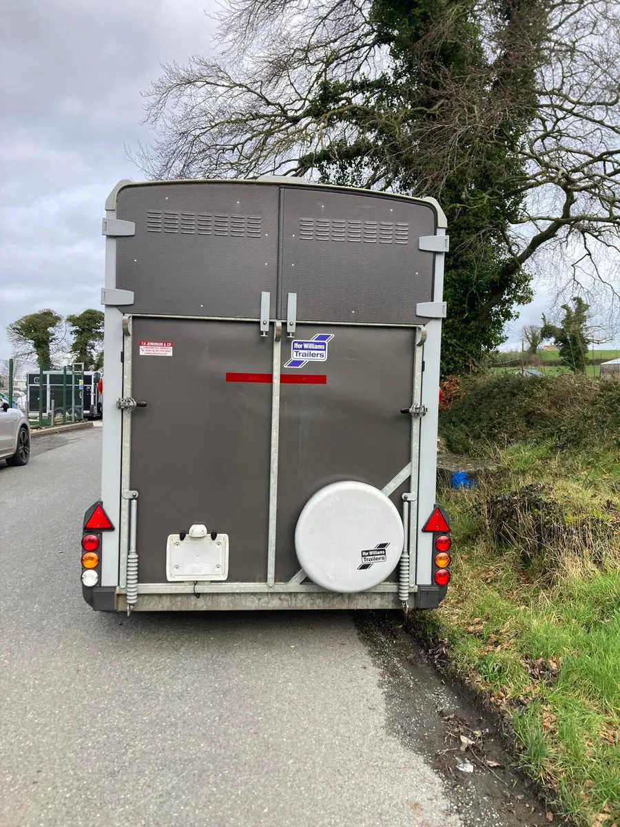 2019 Ifor Williams HB511 Horsebox NO VAT - Image 3