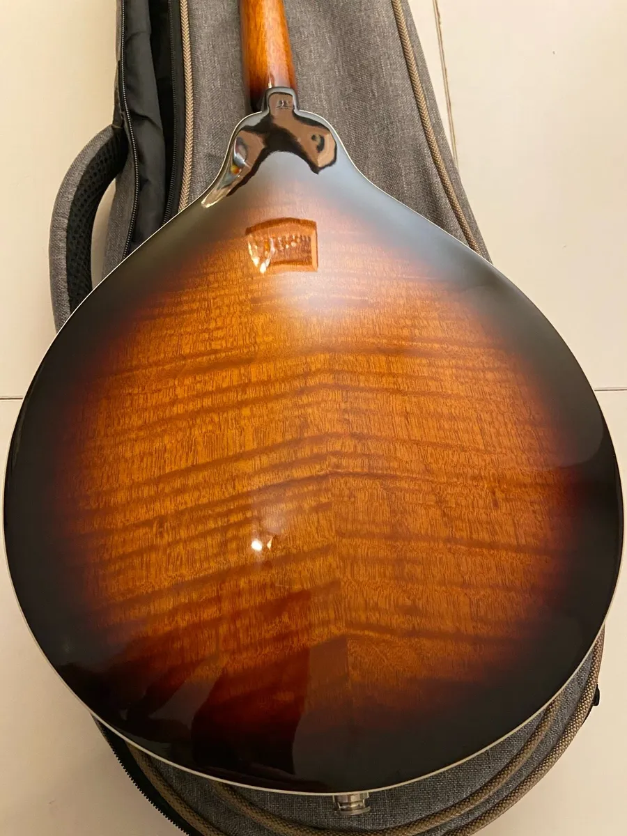 Mandolin - Image 4