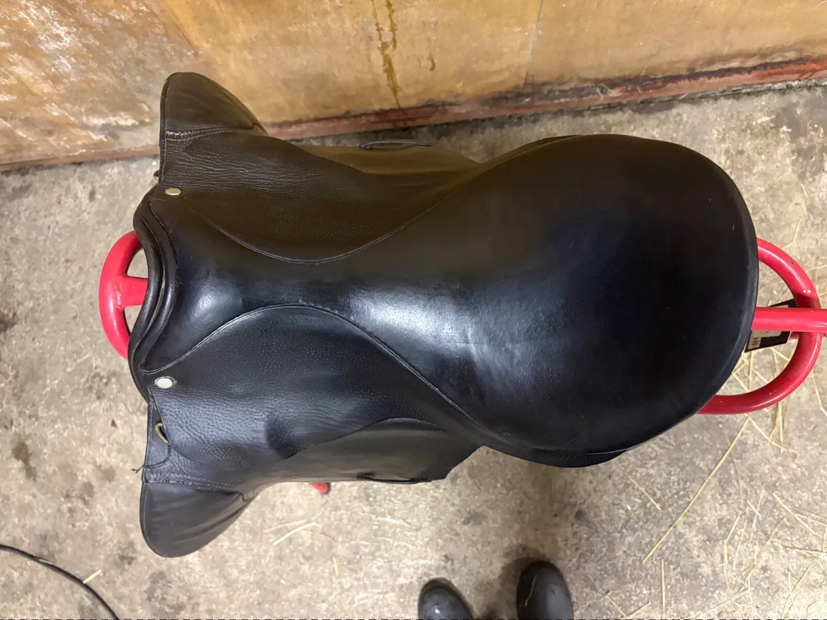 Penfolds Saddle for Sale - Image 2