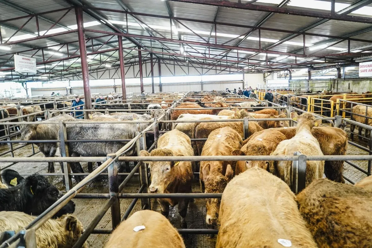 BALLINROBE MART UPCOMING SALES - Image 1