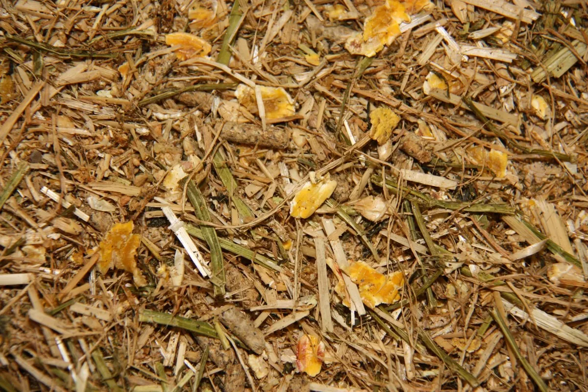 Complete Calf Rations / Feed / Diet / Meal - Image 1