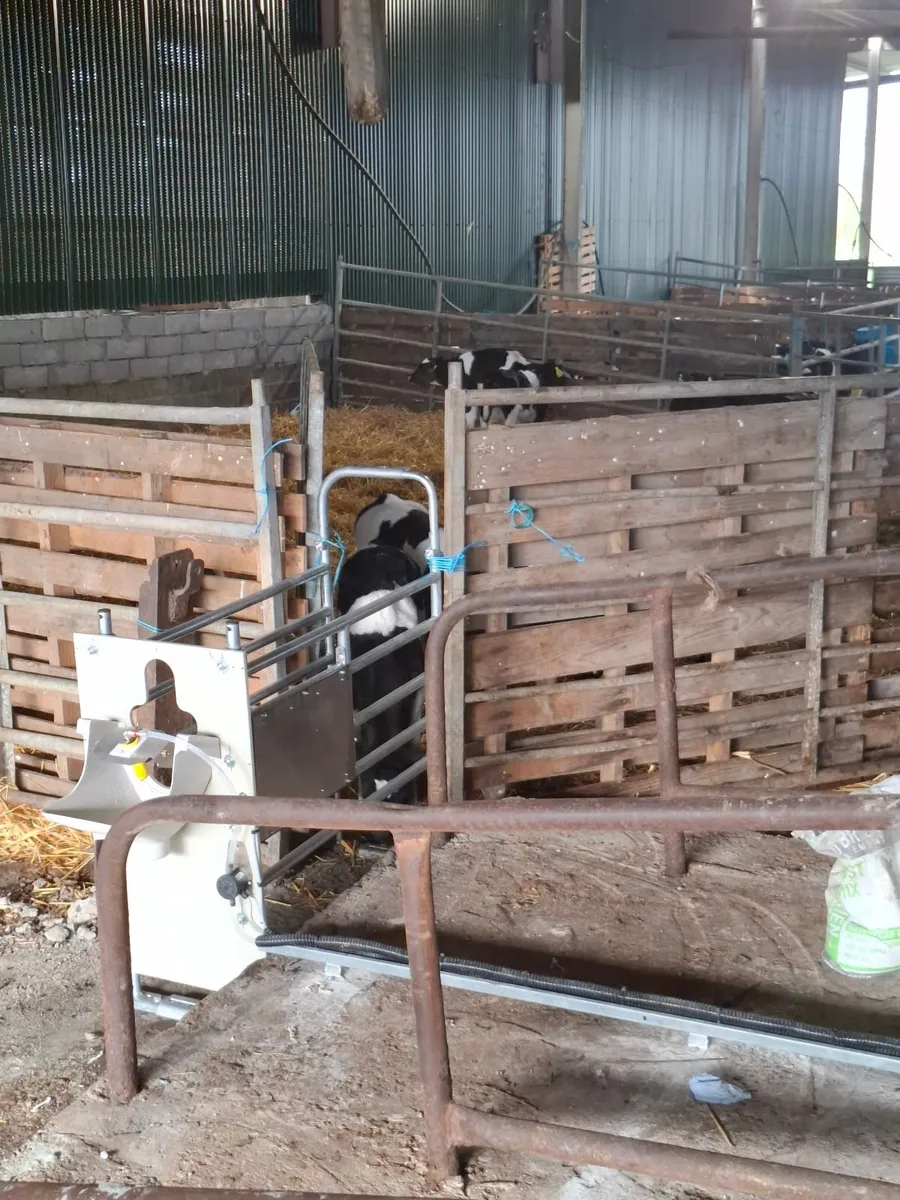 DeLaval CF1100S Calf Feeder - Image 4