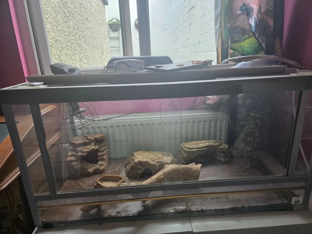 Large vivarium and accessories - Image 2