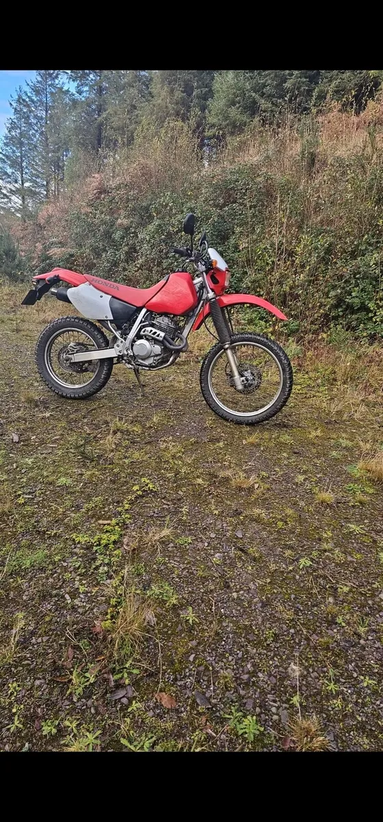 Honda xr250r - Image 2