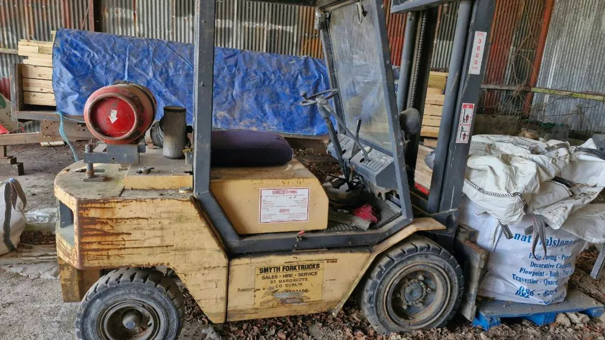 3 ton gas forklift for sale - Image 2
