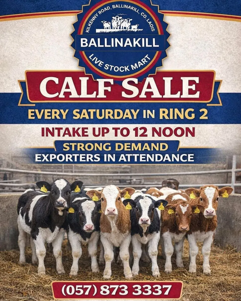 Ballinakill Mart - Weekly Calf Sale