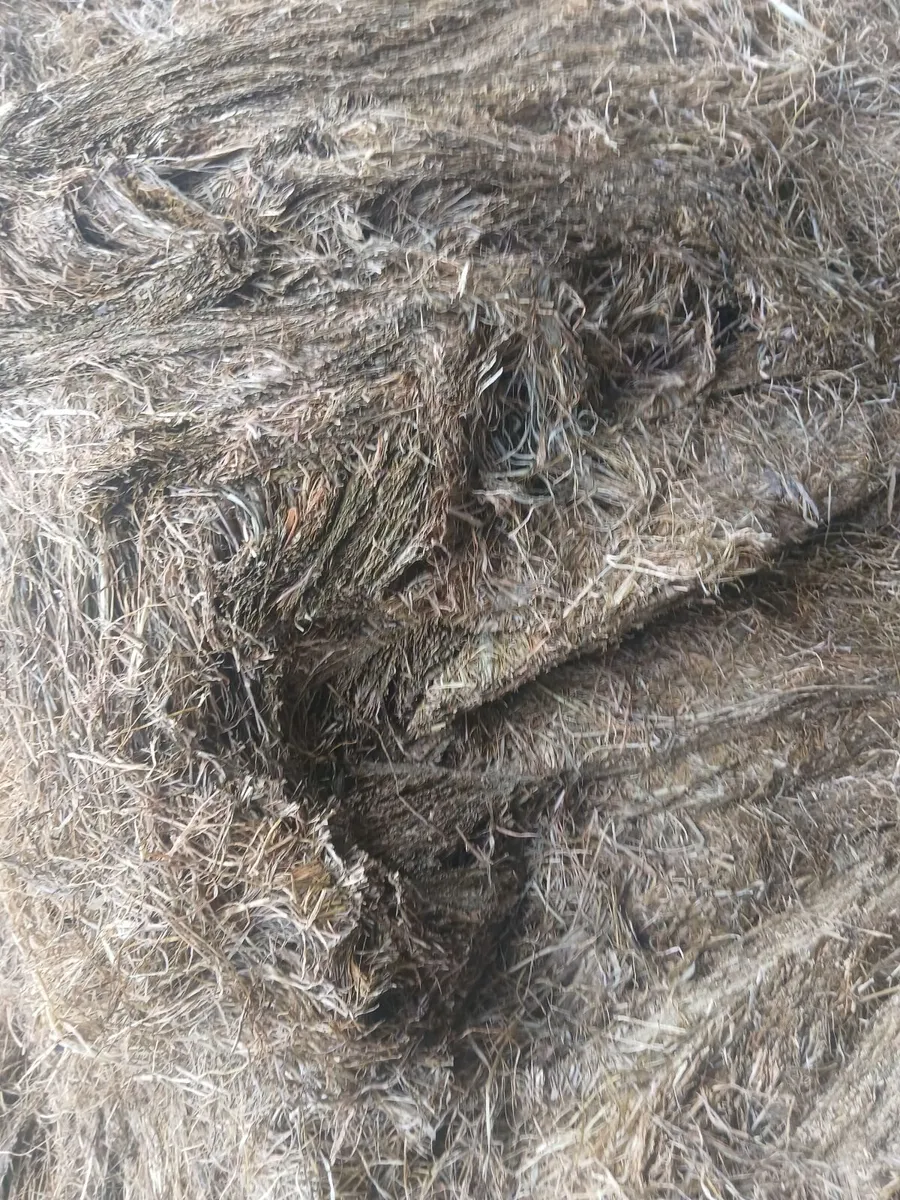 Silage - Image 4
