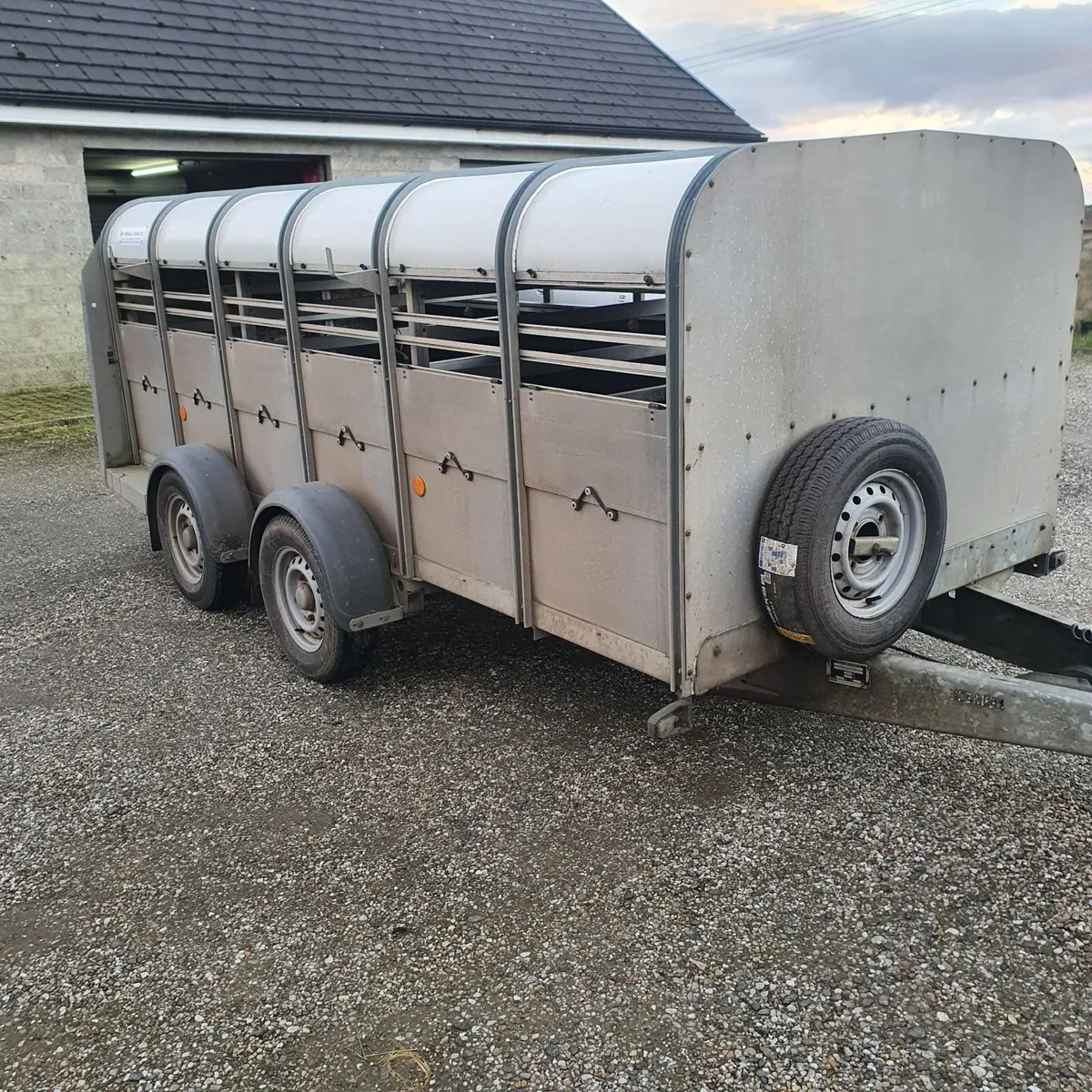12 foot low roof iforwilliams sheep trailer - Image 4