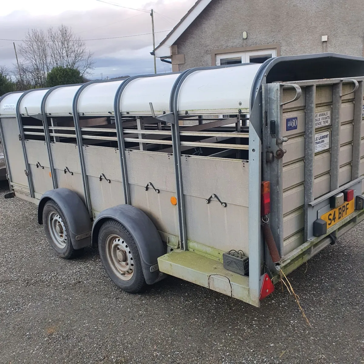12 foot low roof iforwilliams sheep trailer - Image 3