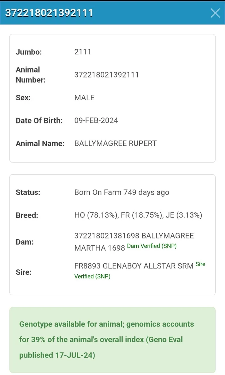 High EBI stock bull - Image 2