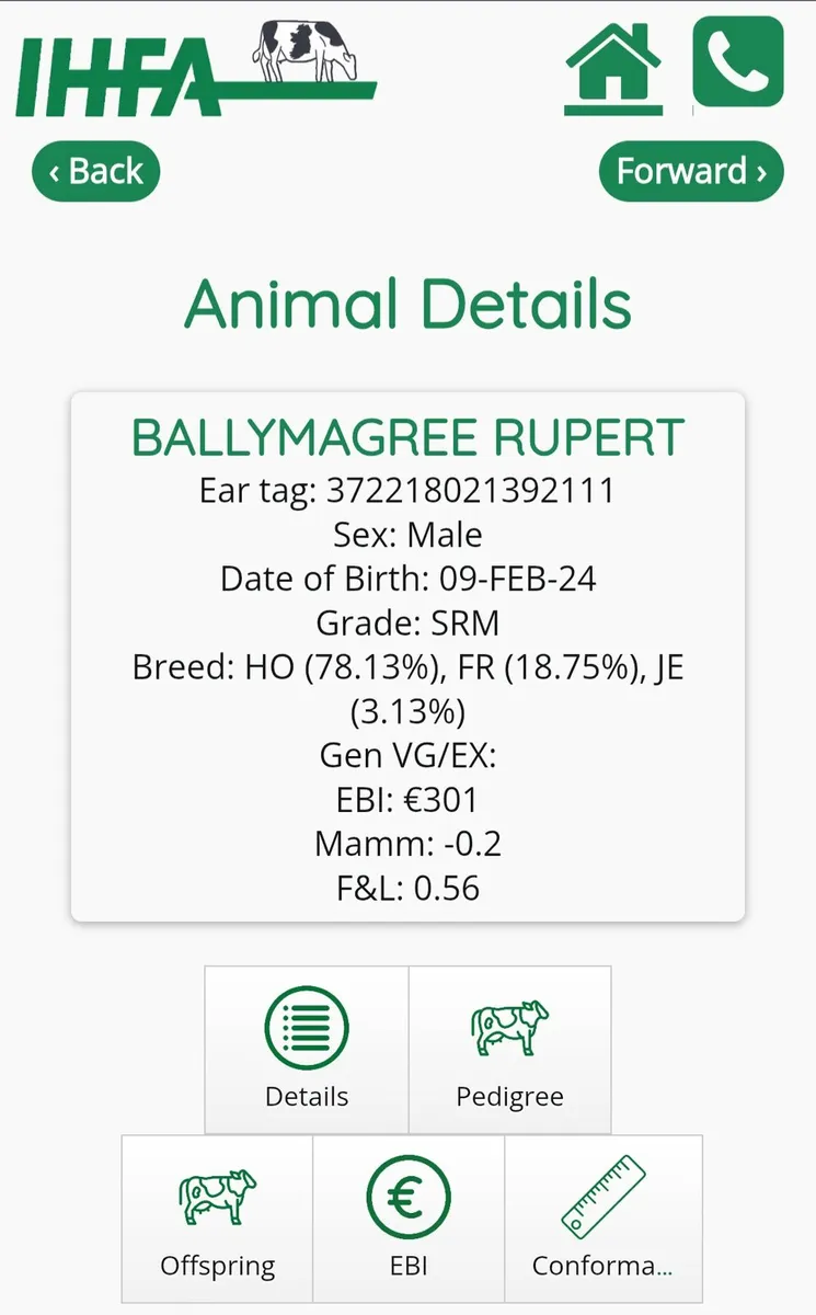 High EBI stock bull - Image 1