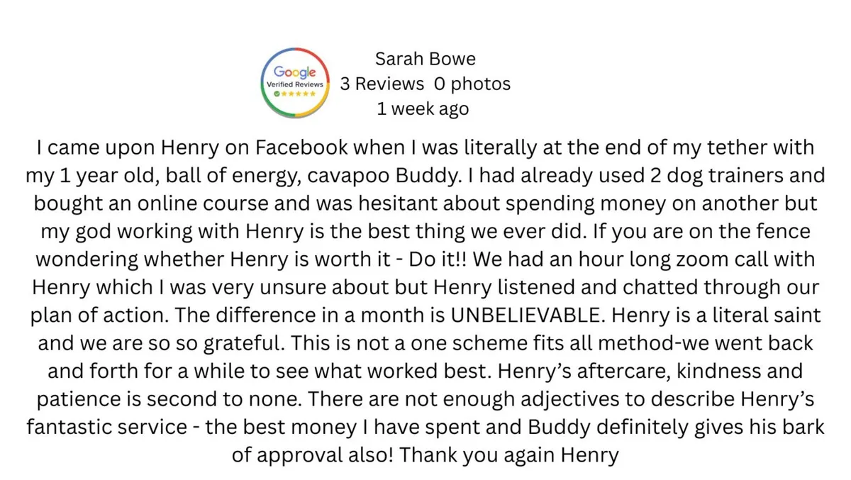 Open Your Own Dog Training Business - Image 3