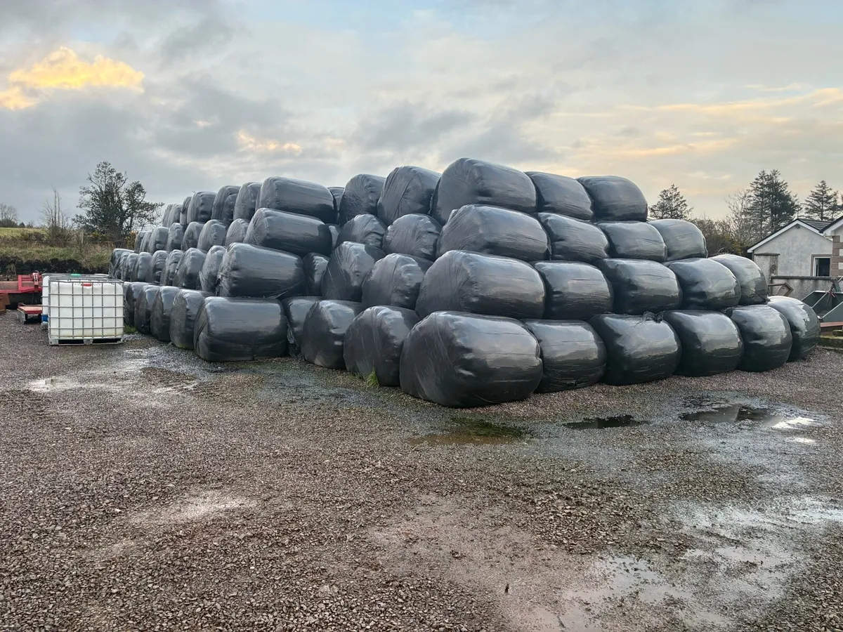 Round bales - Image 1