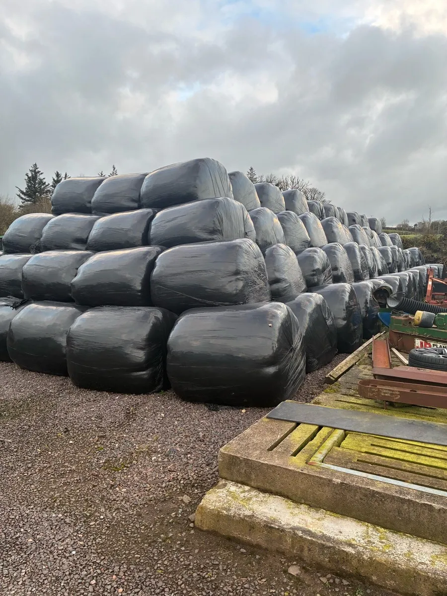 Round bales - Image 2