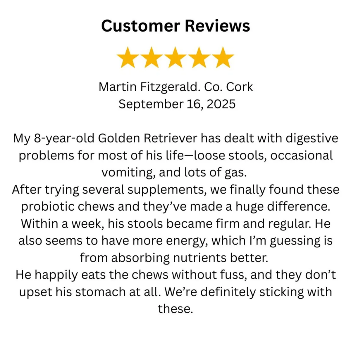 Open Your Own Dog Training Business - Image 4