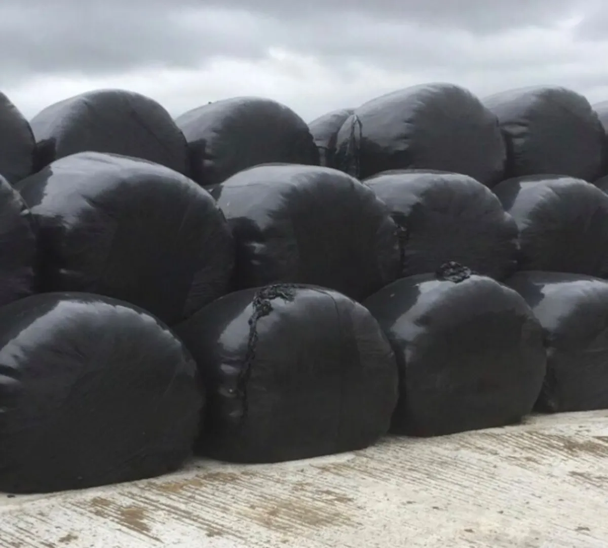 Baled Silage - top quality