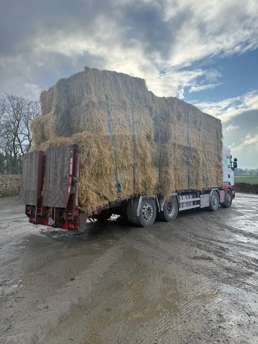 Rigid loads straw delivered - Image 1