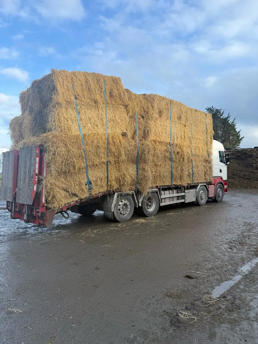 Rigid loads straw delivered - Image 3