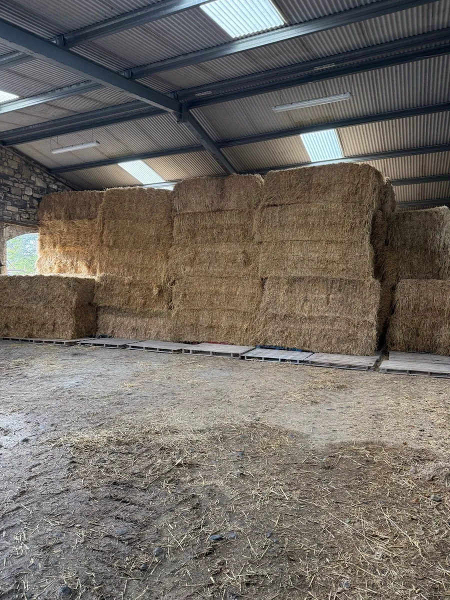 Rigid loads straw delivered - Image 4