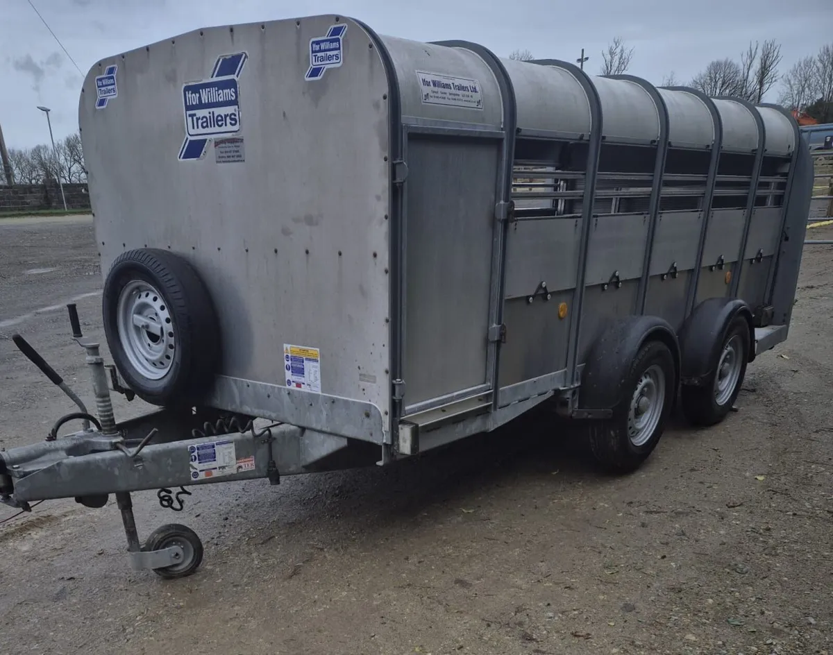 Ifor Williams 12 ft   sheep/pig  trailer - Image 3