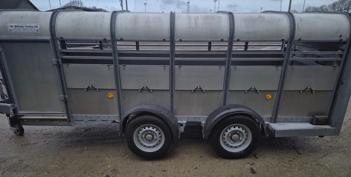 Ifor Williams 12 ft   sheep/pig  trailer - Image 4
