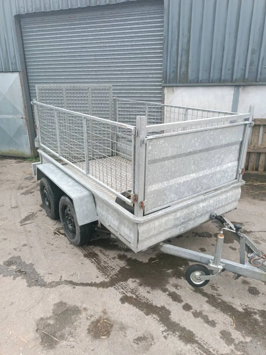 Galvanized Builders trailer - Image 2