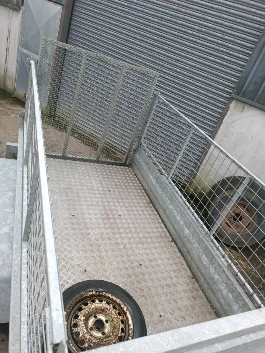 Galvanized Builders trailer - Image 3