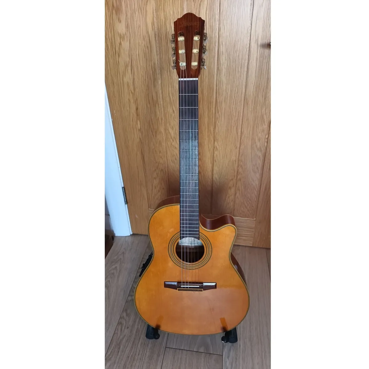 Ibanez AE20N Nylon Electro-Acoustic (Thin-Body) - Image 1